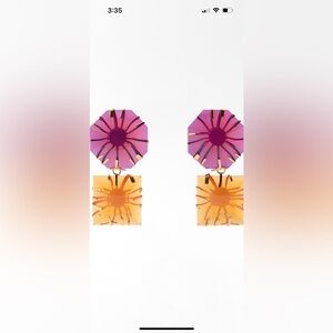 Zara solid color resin earrings